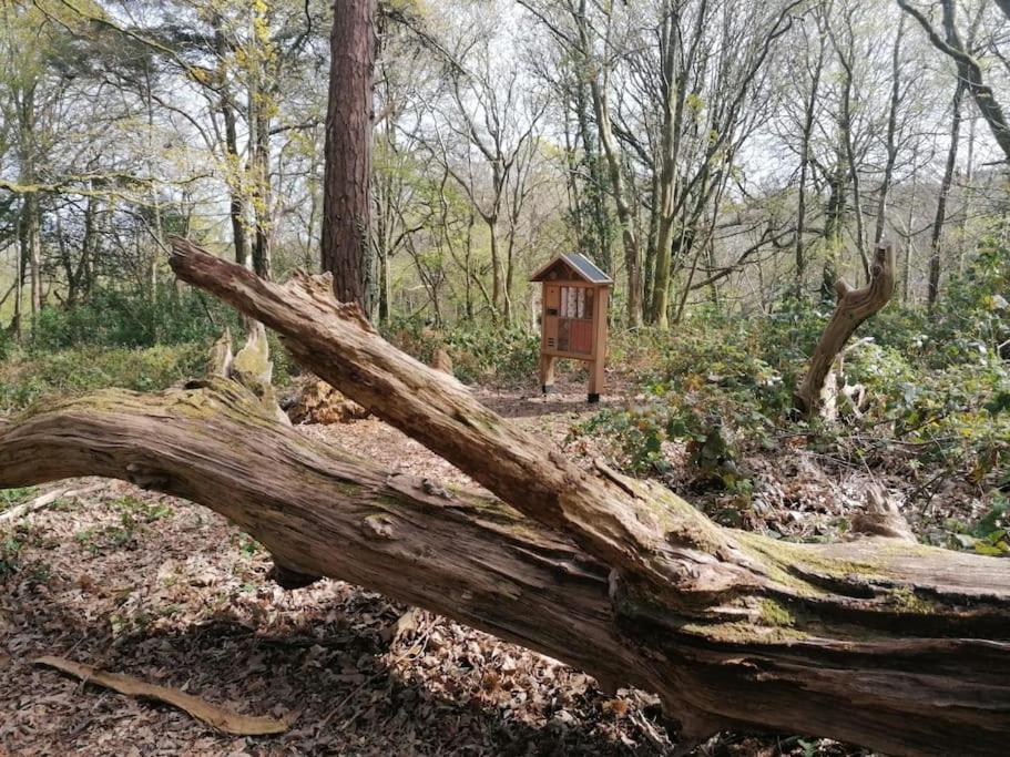 Pebble Cottage Uny Lelant Exterior photo